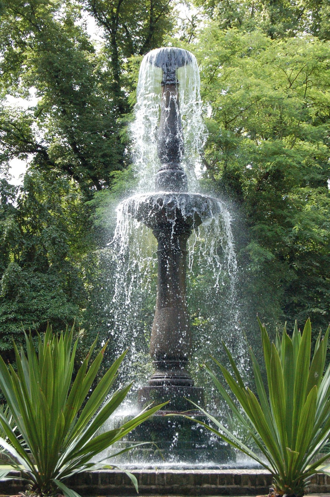 fontanna, ogród na Pawiej Wyspie, Berlin